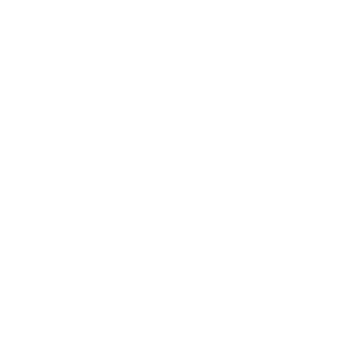 Alikhan_GSS's emblem