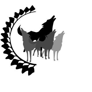 valaminihnv's emblem