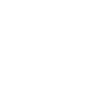 dizermayzer's emblem