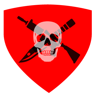 xRay_FlyingAce's emblem