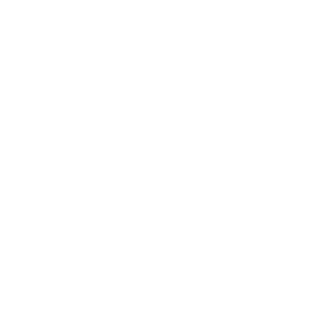 aigizzz's emblem