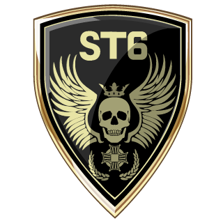 Stike Team 6's emblem
