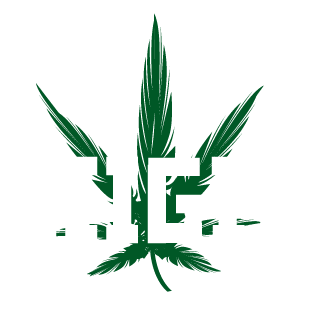 MrGreenBoogie's emblem