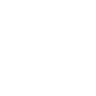 NightOfHonor's emblem