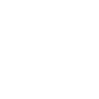 BusterLanceX's emblem