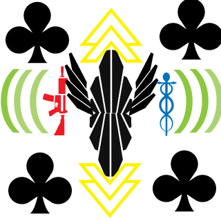 124263421312's emblem