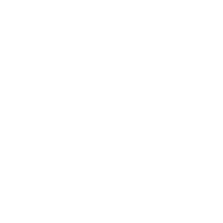 SHEOOLIDER's emblem