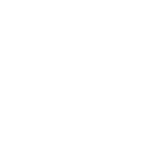 130090828's emblem