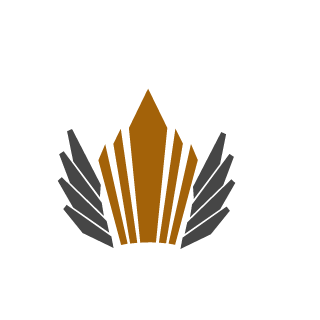 Rooks1193's emblem