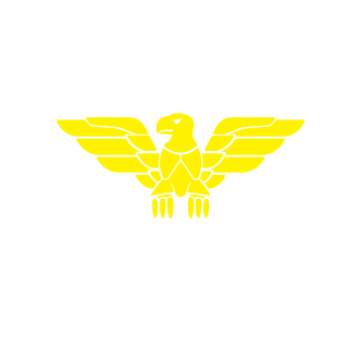 NICKTrooper-ru's emblem