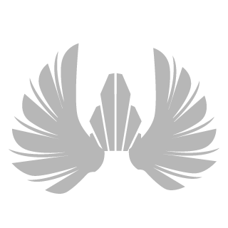 1Oldwarrior1's emblem