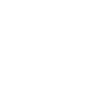 Agent_Lucas_B's emblem