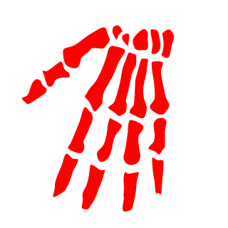 LicensetokillL's emblem