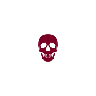 Revolution8219's emblem