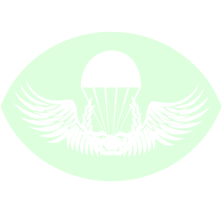 yExperT's emblem