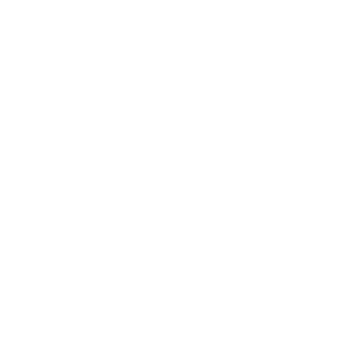 vorex244's emblem
