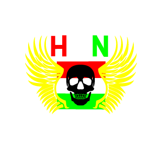 domi0202HUN's emblem