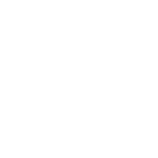 333MoonlighT333's emblem