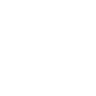 ibo_Punisher's emblem