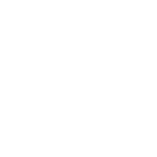 ConstVarPgPr's emblem