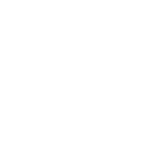 dima28082007's emblem