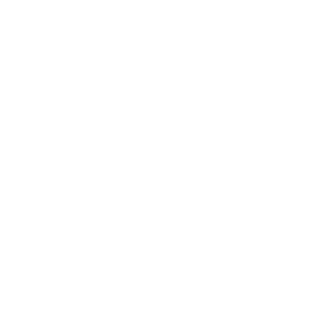 Reckless-Thief's emblem