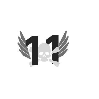 DvdStriker's emblem