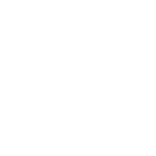 Skz Ace y's emblem