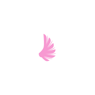 DutchBF's emblem