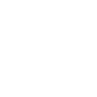 LYONiiX's emblem