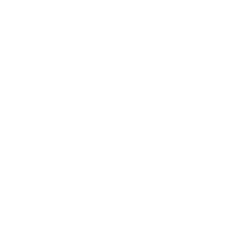 UN3S's emblem
