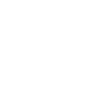 Seevem's emblem