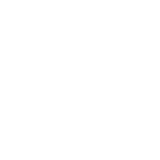 ll_IIJavaII_ll's emblem