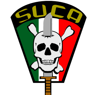 Narkos89's emblem