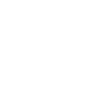 4vpai's emblem
