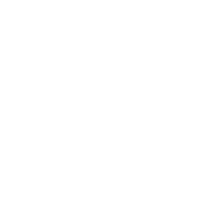 17_domino_17's emblem