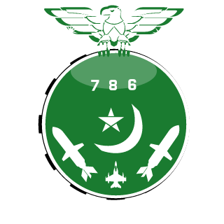 Couchking786's emblem