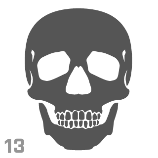 MS13Gangsta-Rus2's emblem
