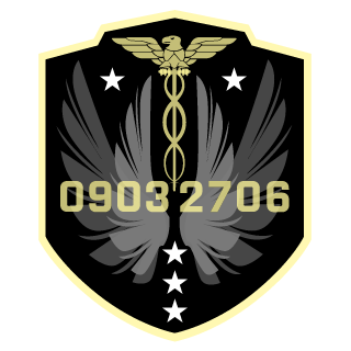 1685144c18's emblem