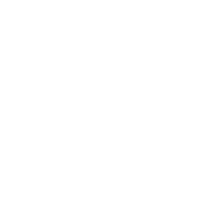nS_1MaTT-'s emblem