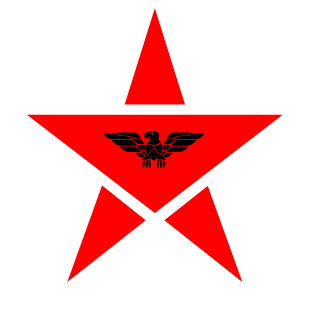 SCApacheMMA205's emblem