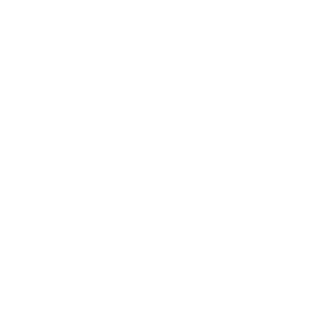 nondeneruson's emblem