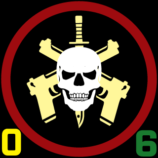 NetinxxBR's emblem