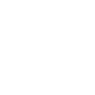 wesleySR97's emblem
