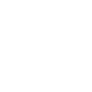 dangerlord113's emblem