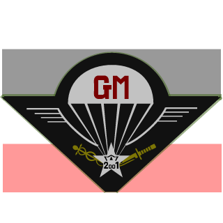 GM-veXiiiii's emblem