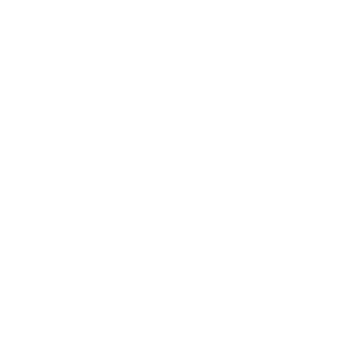 19SRB's emblem