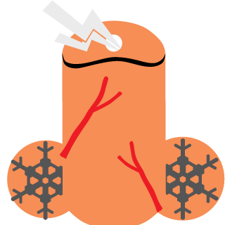 FrostyToast245's emblem
