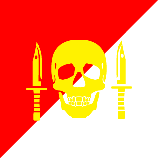 Versadin's emblem