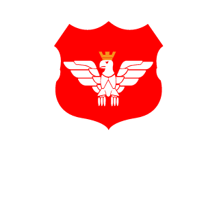 LoodoomirPL's emblem